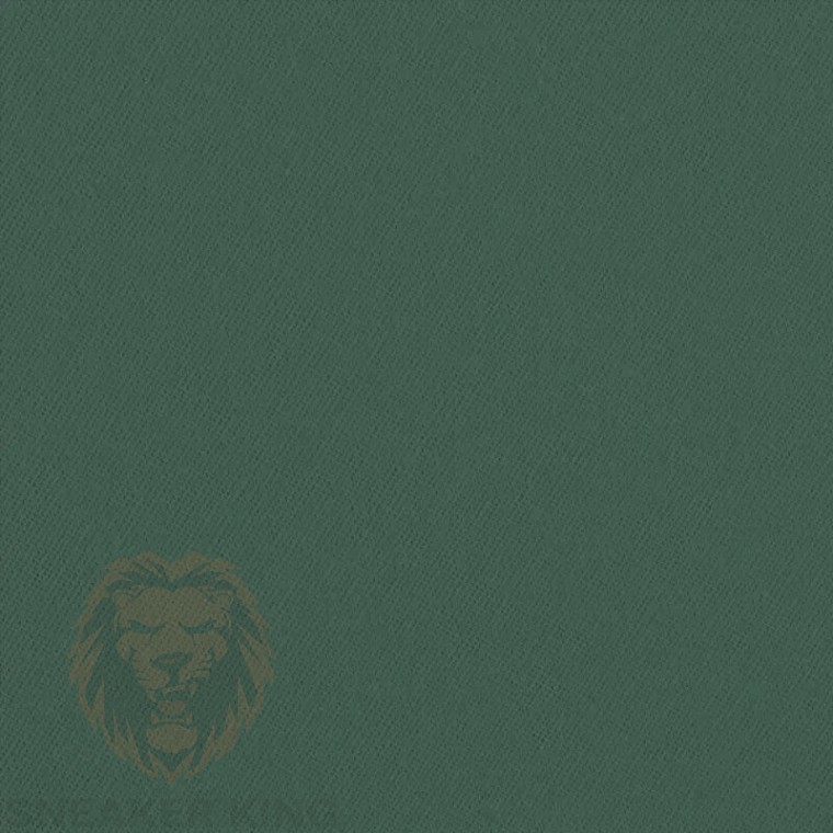 Барвник для натуральних тканин RIT All-Purpose Dye Dark Green (темно зелений), 236 мл